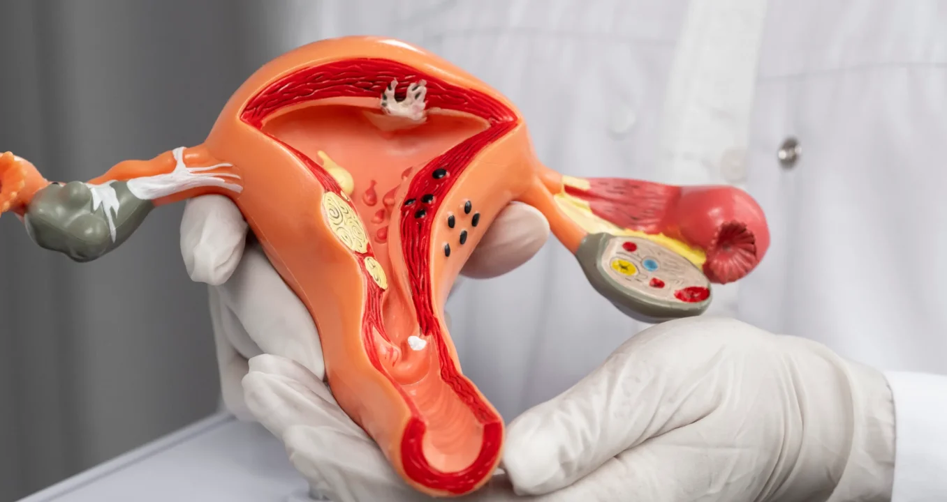 doctor-holding-anatomic-model-high-angle-scaled